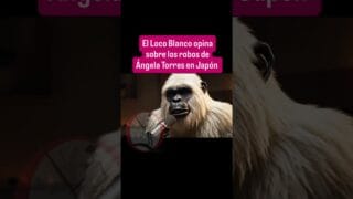 El Loco Blanco sobre los Robos de Ángela Torres en