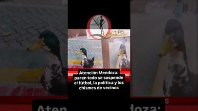 🔥 El pato más famoso de Mendoza… ¡tiene abogado! 🦆⚖️