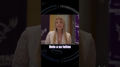 GATO BARATO – Spot SANTILLI y Karen Reichardt #Elecciones2025 #SHORT