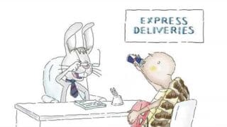 Tortuga se postula para delivery tomando REDBULL