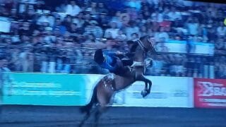 EN VIVO: 1era noche JESÚS MARIA 2026 Jineteada y Doma