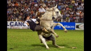 Jineteada EN VIVO Jesús María 2026 – 14 de Enero