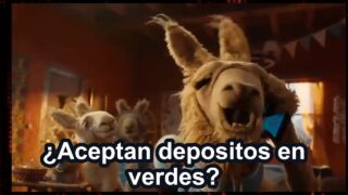 LLAMA QUE LLAMA: 3 pepinos a Suiza – Publicidad Mundial