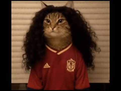 ¡ESPAÑA A LA FINAL! Victoria épica ante Francia 🇪🇸🏆